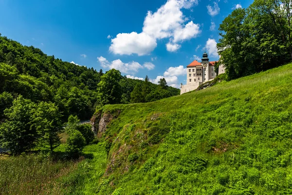 Pieskowa Skala Castle Στο Εθνικό Πάρκο Ojcowski Κοντά Στην Κρακοβία — Φωτογραφία Αρχείου