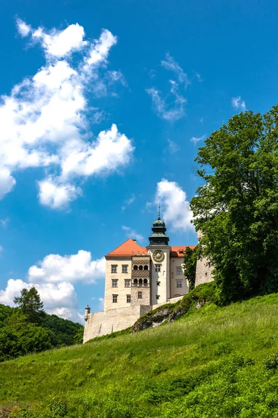 Pieskowa Skala Castle Στο Εθνικό Πάρκο Ojcowski Κοντά Στην Κρακοβία — Φωτογραφία Αρχείου