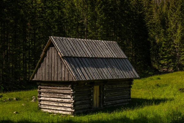 Kunyhó Chocholowka Völgyben Tatra Nemzeti Park Hegyek Lengyelországban Közel Zakopane — Stock Fotó