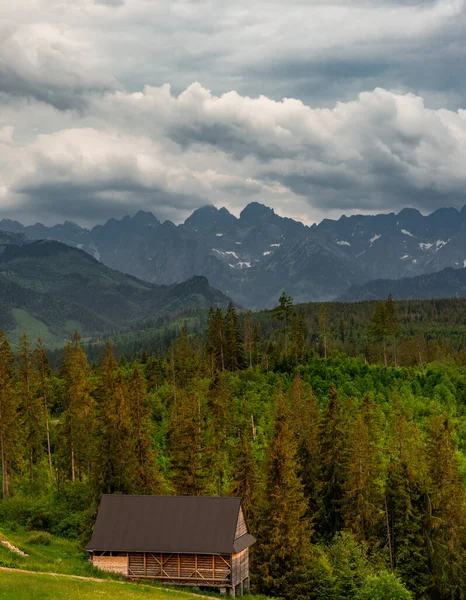 Montagne Tatra Gamma Polonia Paesaggio Alpino Prati — Foto Stock
