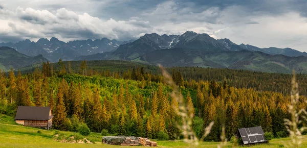 Amplo Panorama Cordilheira Tatra Bosques Prados Polônia Verão — Fotografia de Stock