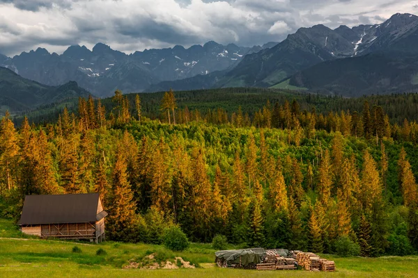 Paisaje Cordillera Tatra Bosques Prados Polonia Verano — Foto de Stock