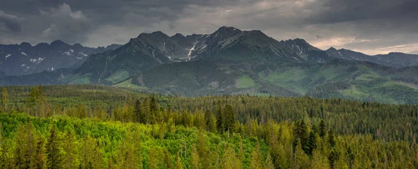 Ευρύ Πανόραμα Της Οροσειράς Tatra Στην Πολωνία Καλοκαίρι — Φωτογραφία Αρχείου