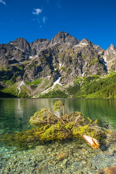 Eaye Del Lago Mare Nelle Montagne Polacche Tatra — Foto Stock