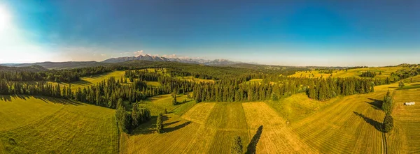 Bauernhöfe Und Wiesen Auf Sanften Hügeln Der Hohen Tatra Polen — Stockfoto
