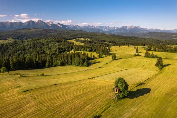 Meadows and pasture on rolling hills in mountains, drone view. Summer in countryside in Poland.