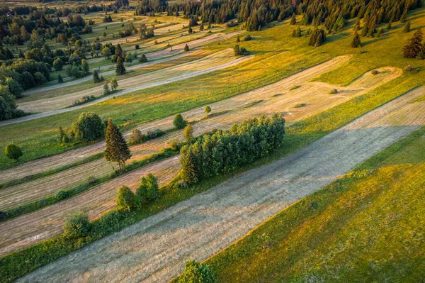 aerial view of the rural area of the carpathian mountains