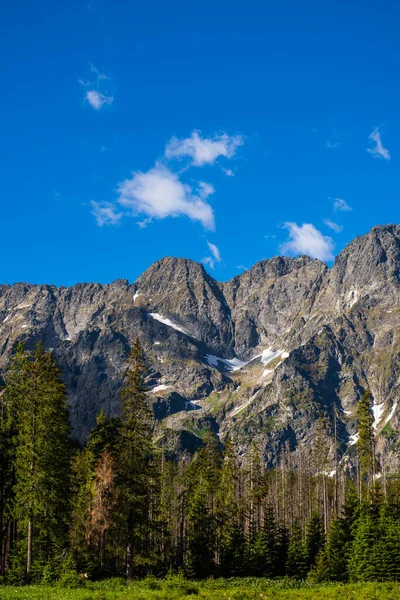 Parco Nazionale Dei Monti Tatra Estate Polonia Vicino Zakopane — Foto Stock