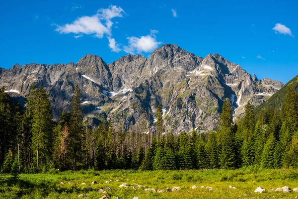 Paesaggio Alpino Tatra Montagne Polonia Durante Stagione Estiva — Foto Stock