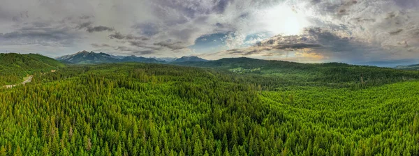 Zelený Les Tatry Létě Dron Panorama — Stock fotografie