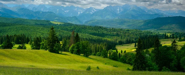 Horská Krajina Kopci Stromy Loukami Tatrách Polsko — Stock fotografie
