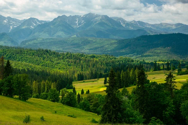 Verdi Colline Ondulate Hgh Tatras Montagne Polonia — Foto Stock