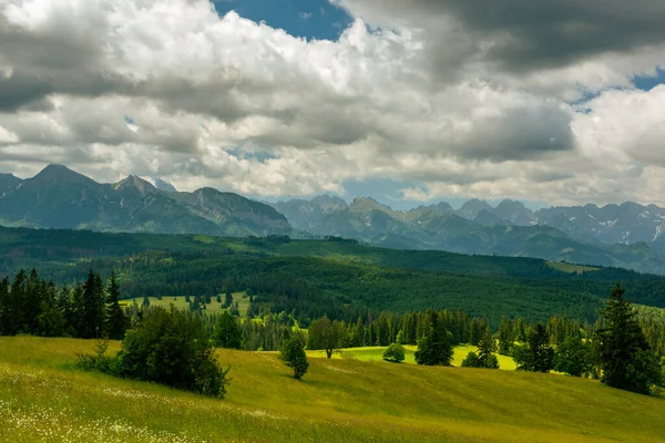 Montanhas Tatras Colinas Verdes Prados Floresta Selvagem Verão — Fotografia de Stock