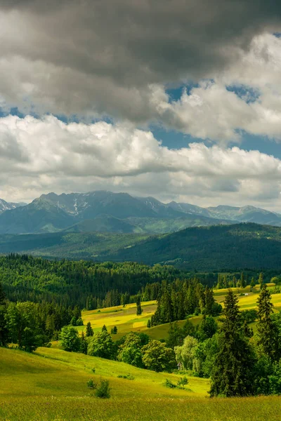 Tatra Gebirge Grüne Sanfte Hügel Mit Wiesen Und Wildem Wald — Stockfoto