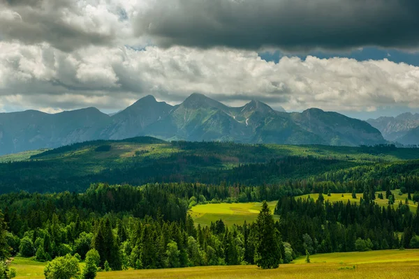 Tatra Ορεινό Τοπίο Καταπράσινα Λιβάδια Και Δέντρα Καλοκαίρι — Φωτογραφία Αρχείου