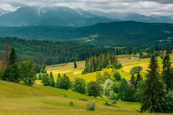Estrada Campo Tatras Montanhas Polônia Verão — Fotografia de Stock