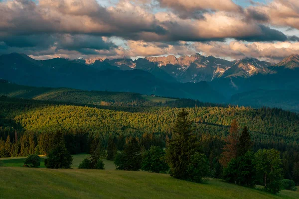 Sonnenuntergang Der Tatra Grüne Wiesen Und Bäume Vordergrund — Stockfoto