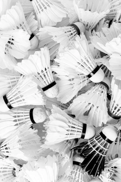 Many shuttlecock for badminton game, sport background.