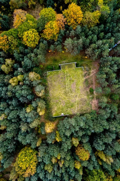 Vista Cima Para Baixo Floresta Outono Vista Drone Cima Árvores — Fotografia de Stock
