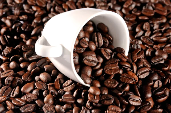 Coffee cup on a coffee grains background — Stock Photo, Image