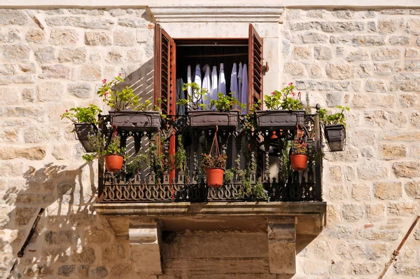 Antiguo balcón con flores y plantas — Foto de Stock