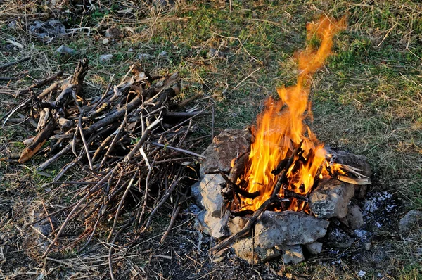 나무 캠프 화재 스톡 사진