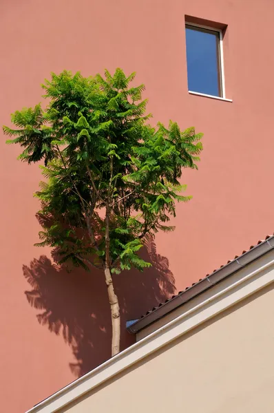 Byggnad med ett träd i förgrunden — Stockfoto