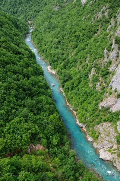 Schlucht des Tara Flusses lizenzfreie Stockbilder