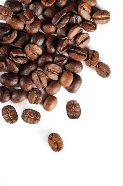 Coffee beans isolated — Stock Photo, Image