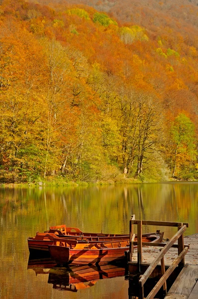 Barche sul lago con foresta sullo sfondo — Foto Stock