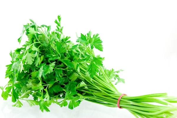 Parsley — Stock Photo, Image