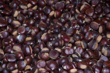 Taze kestanenin arka planı