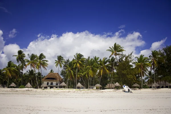Ligne côtière du village de Paje, Zanzibar, Tanzanie Images De Stock Libres De Droits