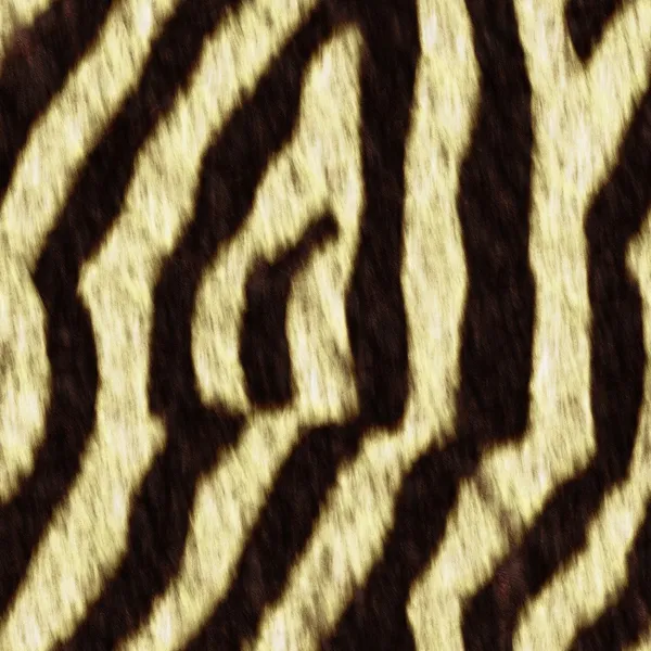 Bezešvá textura Zebra — Stock fotografie