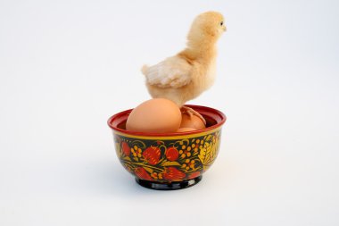 bir sepet yumurta ve tavuk