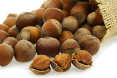 Beyaz arka plan üzerinde izole fındık tuval çanta