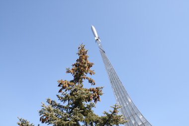 yerde iken, kozmonot gagarin