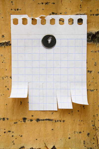 Чистый лист бумаги на дереве
