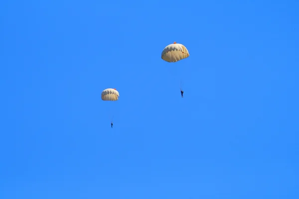 Two parachutists — Stock Photo, Image
