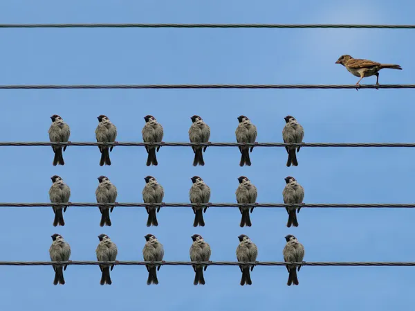 Group of careful listeners and speaker — Stock Photo, Image