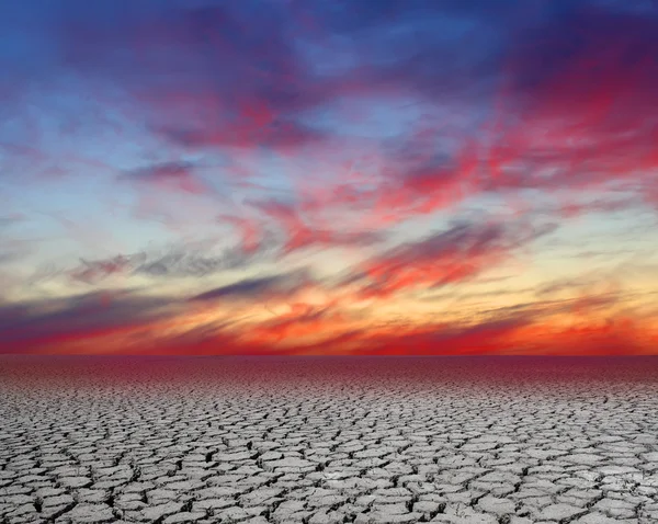 Drought cracks — Stock Photo, Image