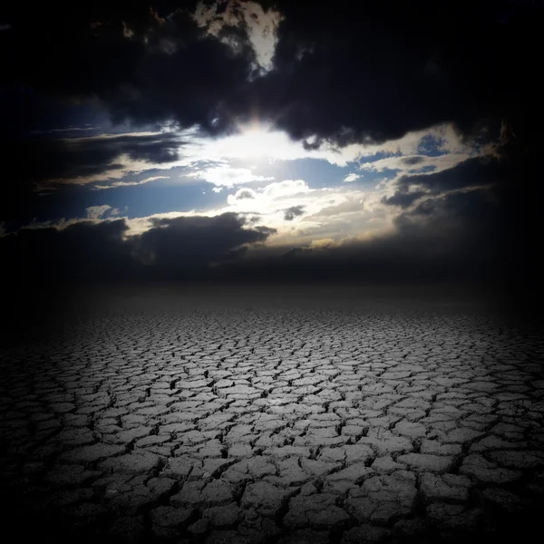 Drought cracks — Stock Photo, Image