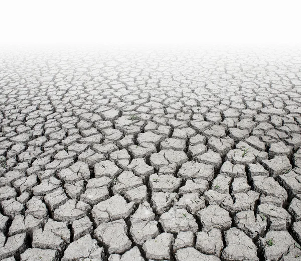 Drought cracks — Stock Photo, Image