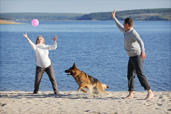 Pregnant woman and man playing ball with dog — Stock Photo, Image
