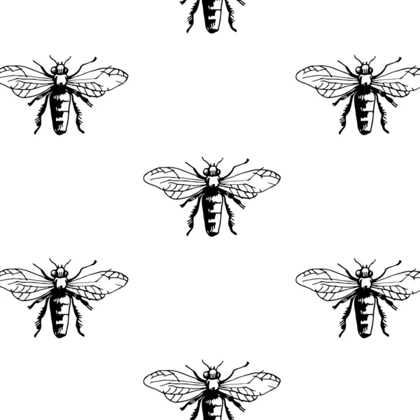 Patrón sin costuras con escarabajos de tendencia — Archivo Imágenes Vectoriales