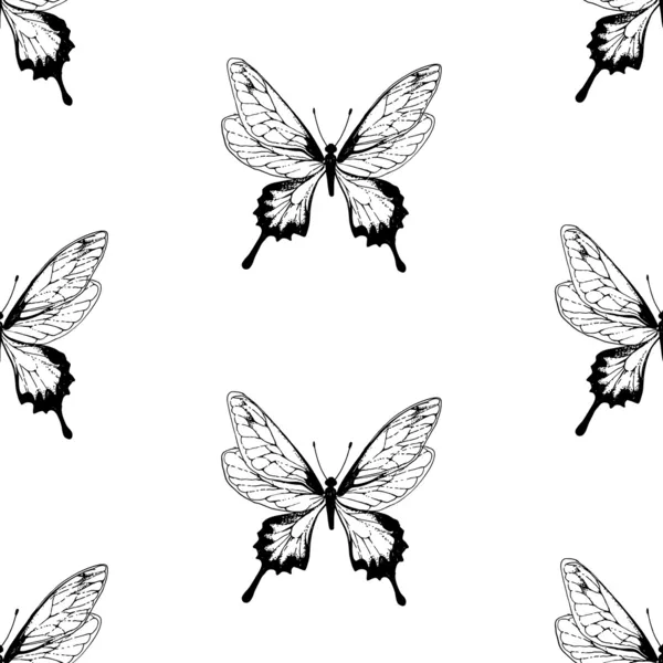 Patrón de mariposa — Vector de stock