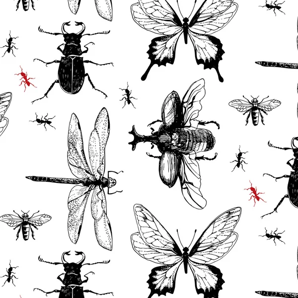 Divers bugs dans le modèle — Image vectorielle