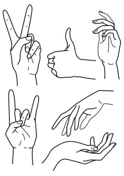 Vector Line Set Human Arms Gestures Vector Illustration — 스톡 벡터