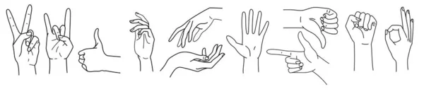 Vector Line Set Human Arms Gestures Vector Illustration — 스톡 벡터
