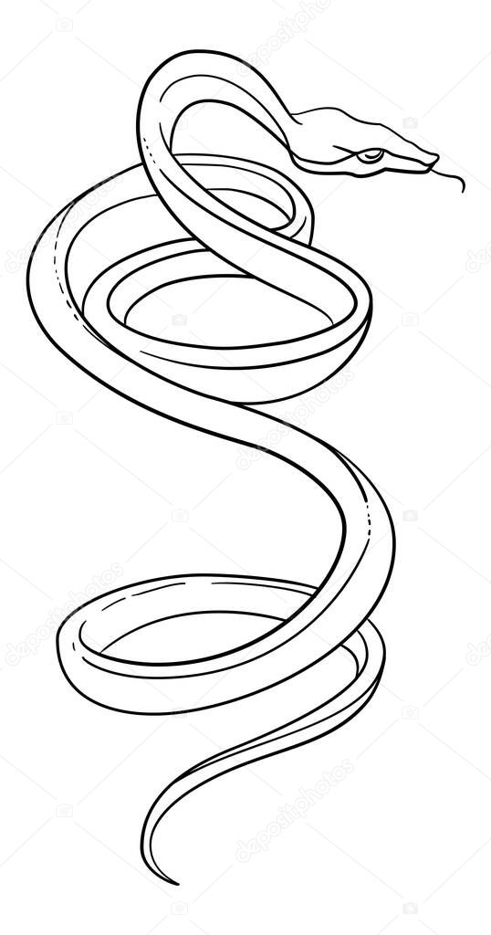 The snake is preparing to attack. Black and white drawing for a tattoo. Vector illustration